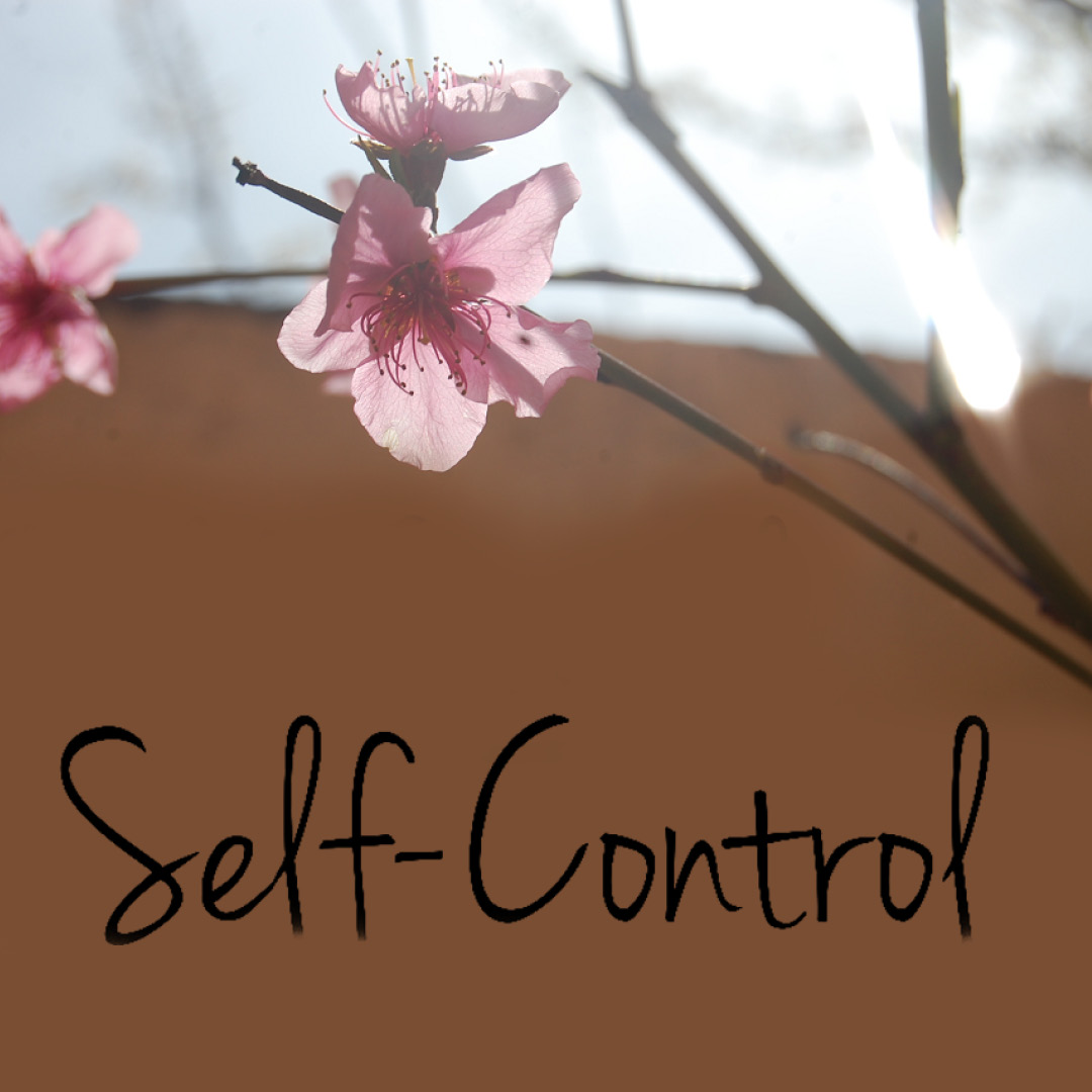 Living the Fruit of the Spirit: Self-Control
