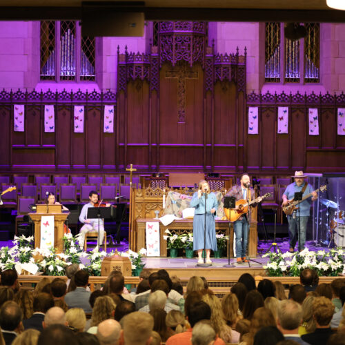 54489598299_bd914bb712_o